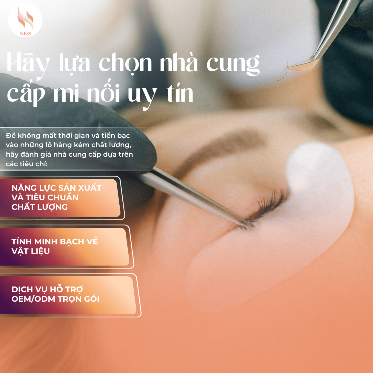 áº¢NH Äáº&nbsp;I DIá»N WEB  (2).png